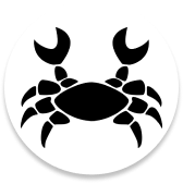 Negative Energy Removal Astrologer in Melbourne